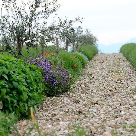 Agriturismo2Laghi Понти-суль-Минчо Экстерьер фото