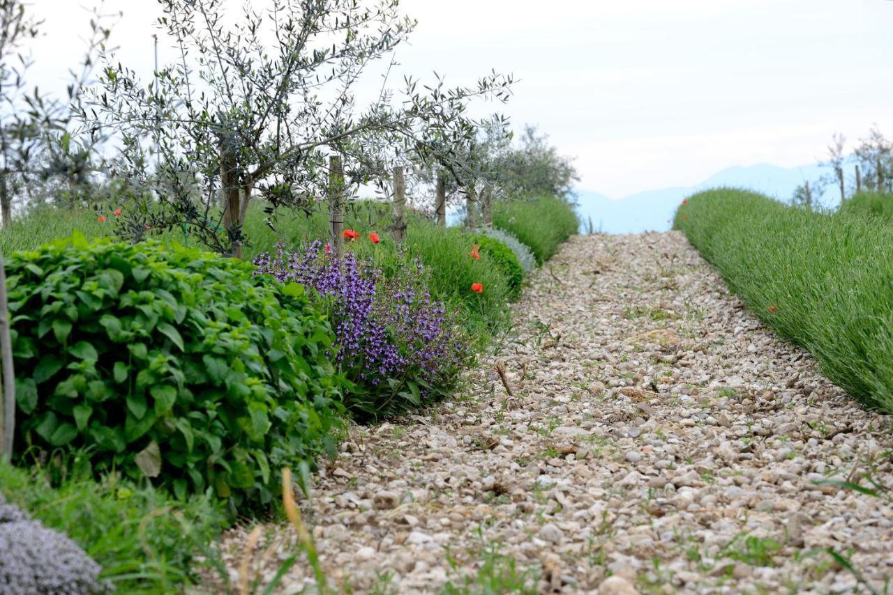 Agriturismo2Laghi Понти-суль-Минчо Экстерьер фото